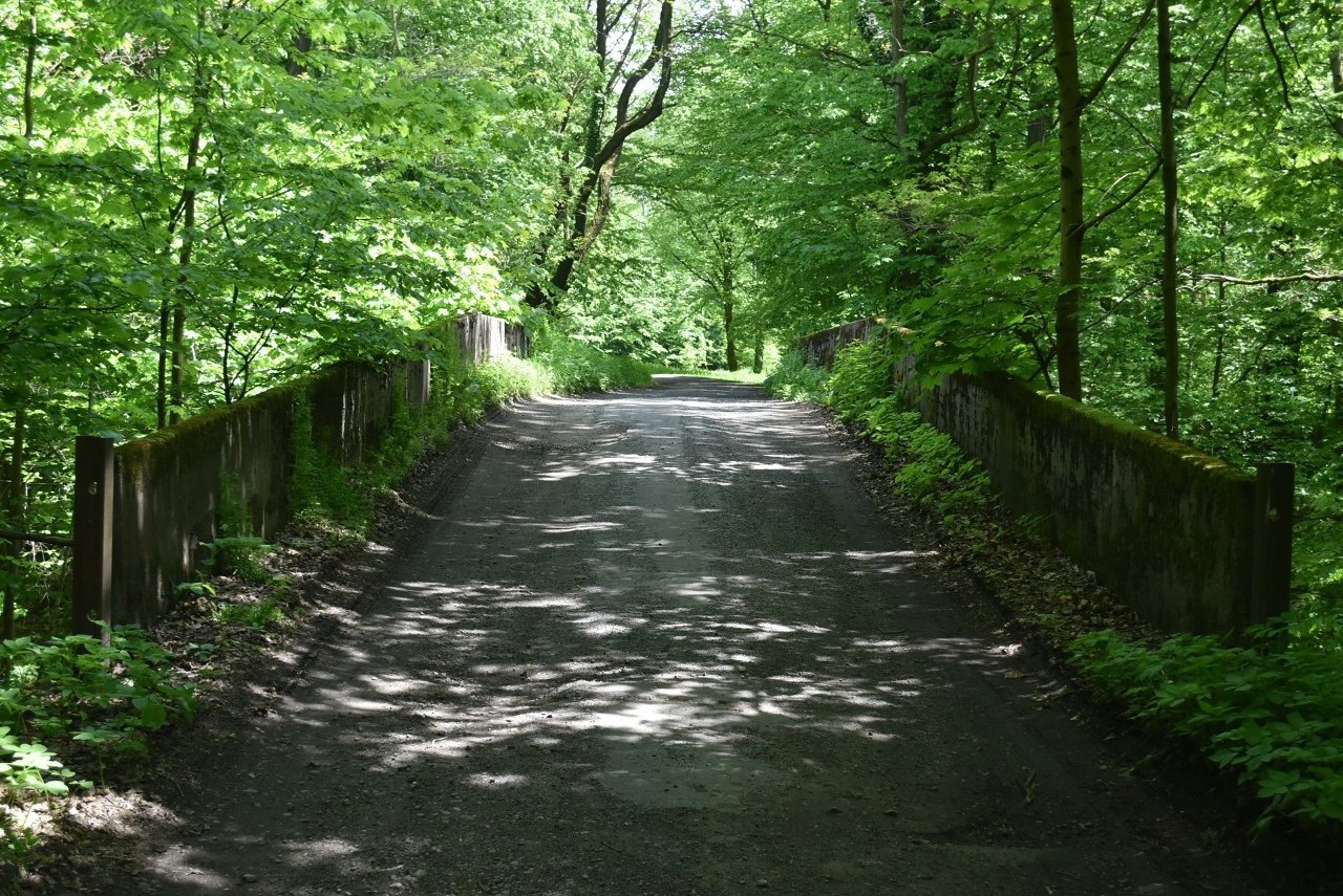 Las Marysieńka